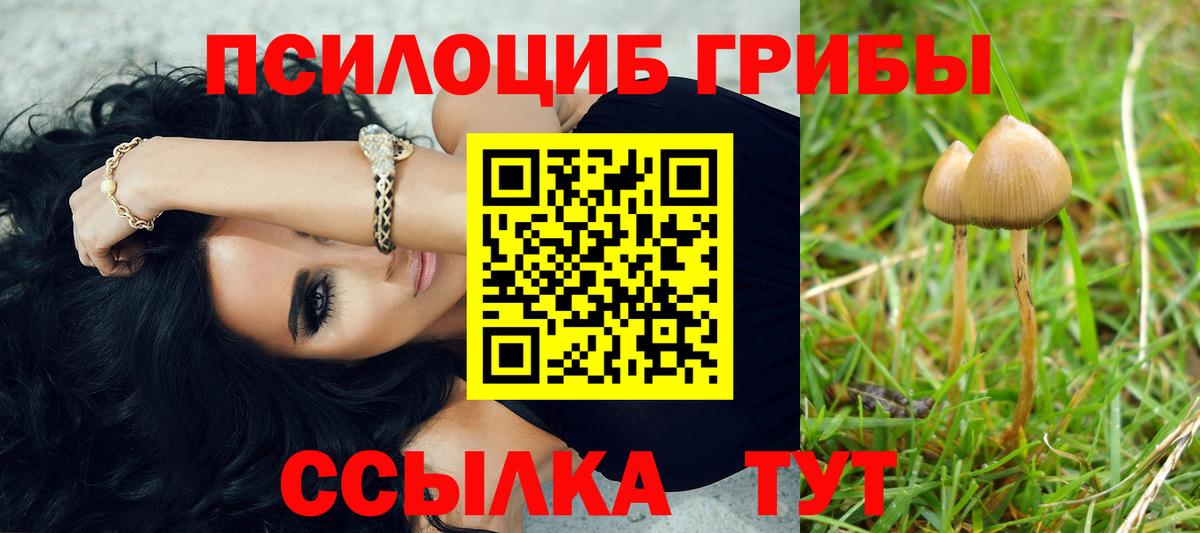 Галлюциногенные грибы Psilocybe Троицк