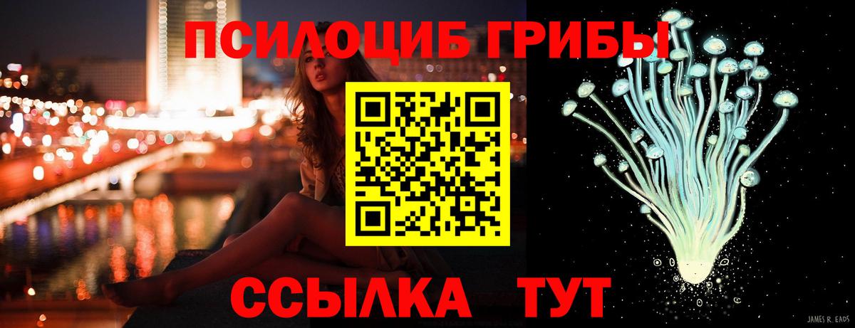 Троицк  наркотики  Вход с VPN  Псилоцибиновые грибы ЛСД 